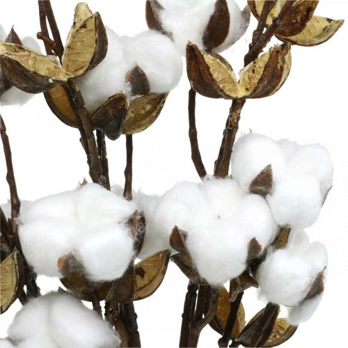 Floristik24 Branche de coton Branche artificielle déco coton 61cm 3pcs