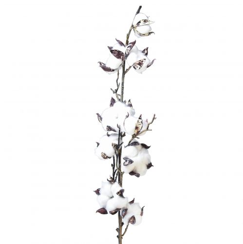 Branche de coton fleurs de coton artificielles marron blanc L95cm