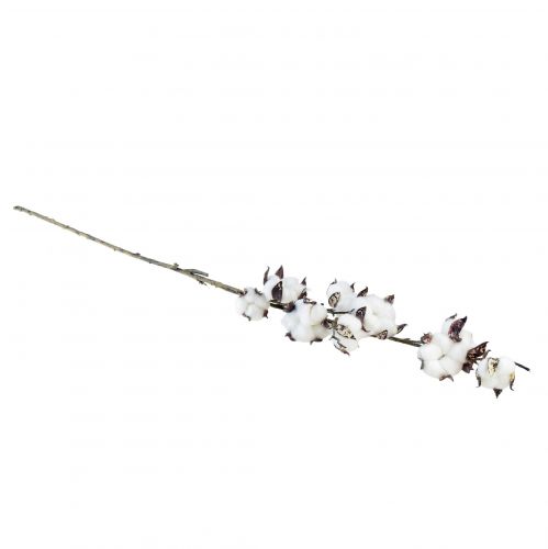 Article Branche de coton fleurs de coton artificielles marron blanc L95cm