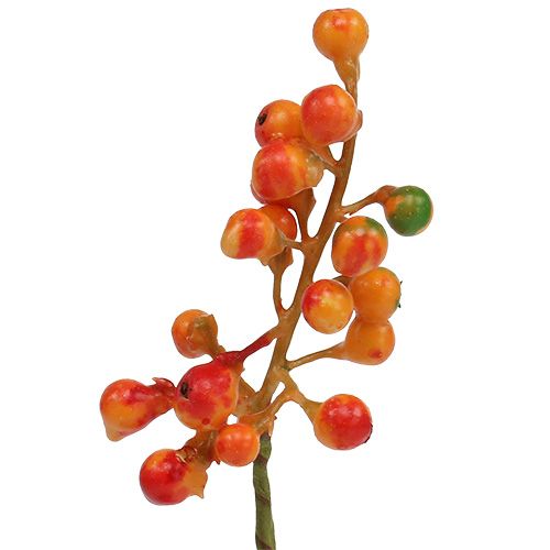 Floristik24 Bouquet de baies orange L20cm