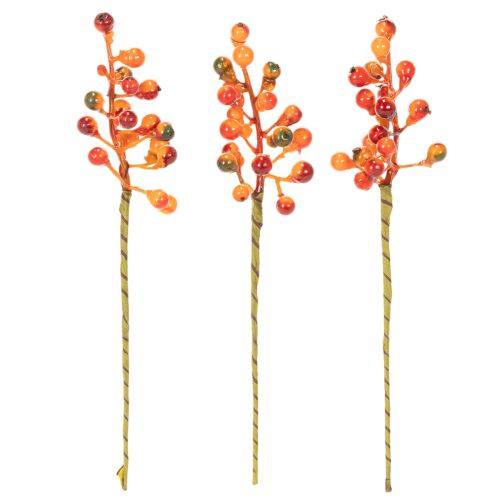 Grappe de baies orange, 20 cm de long | Floristik24.be