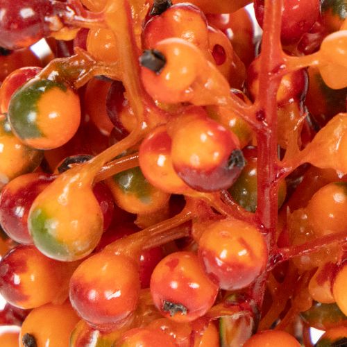 Grappe de baies orange, 20 cm de long | Floristik24.be