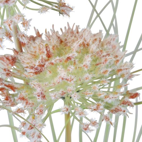 Floristik24 Fleur artificielle boule fleur allium oignon ornemental artificiel rouge vert 90cm