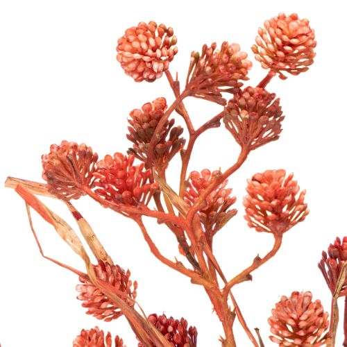 Branche de baies artificielles, décoration automnale réaliste, 68 cm | Floristik24.be