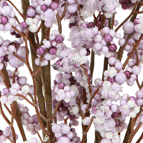 Floristik24 Branche de baies Branche de Noël violet blanc givre L60cm 2 pcs