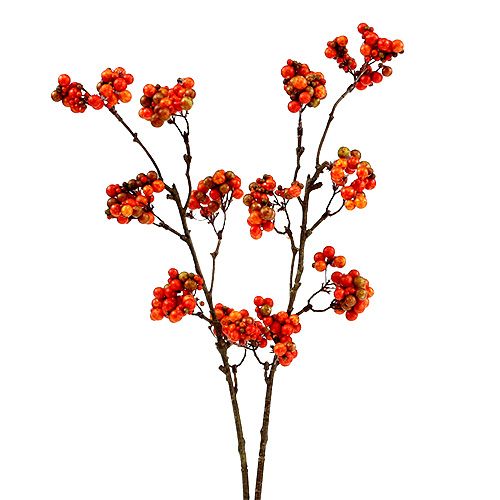 Floristik24 Branche de baies orange L50cm 4pcs