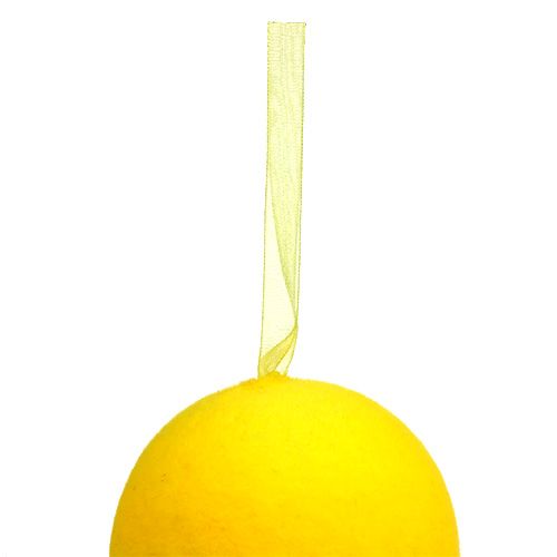 Floristik24 Oeufs décoratifs floqués 10cm 12 pcs