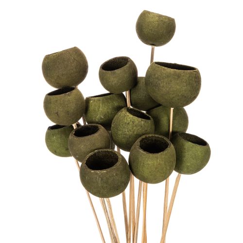 Cloche en forme de coupe sur tige, verte, fleurs exotiques séchées, 5 cm, 15 pièces acheter | Floristik24.be