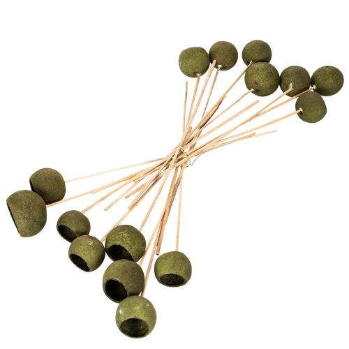 Cloche en forme de coupe sur tige, verte, fleurs exotiques séchées, 5 cm, 15 pièces | Floristik24.be