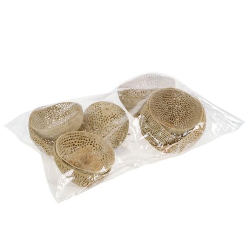 Article Coupe Cloche de Fruits Secs Décoration de Deuil Naturelle 8,5-11 cm 10 pcs