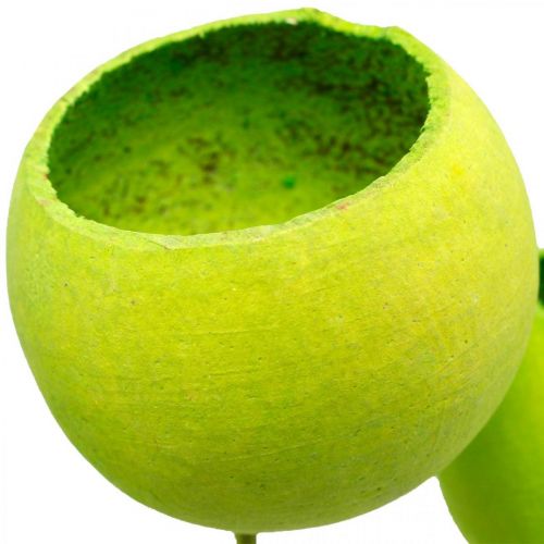 Article Coupe cloche sur bâton Vert Exotiques séchés 15 pcs