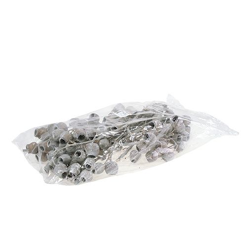 Article Branche de bellgum avec 5-7 fruits 3-4cm Blanchie 20 pcs
