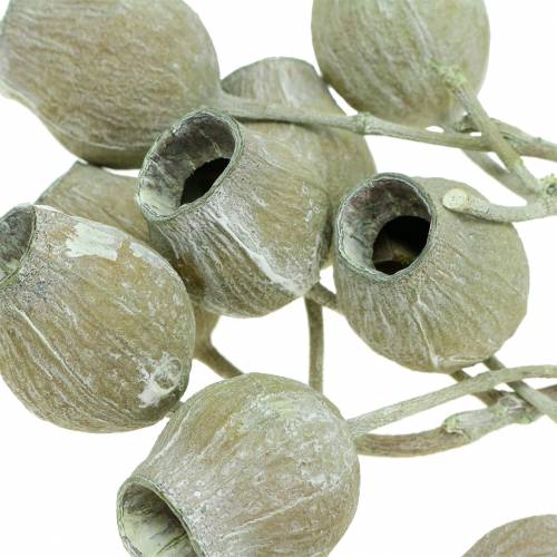Branche Bellgum 5cm - 7cm Vert givré 20pcs