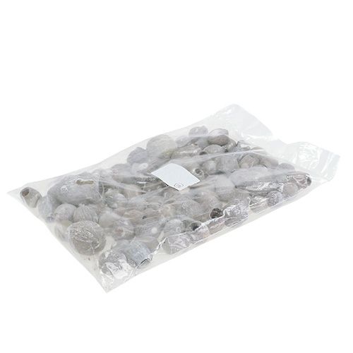 Article Bell gums blanchis Déco séchée exotique 2cm - 5cm 500g