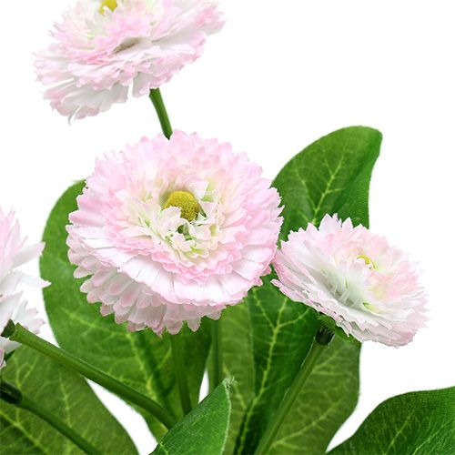 Floristik24 Piquet de pâquerettes rose L 24 cm