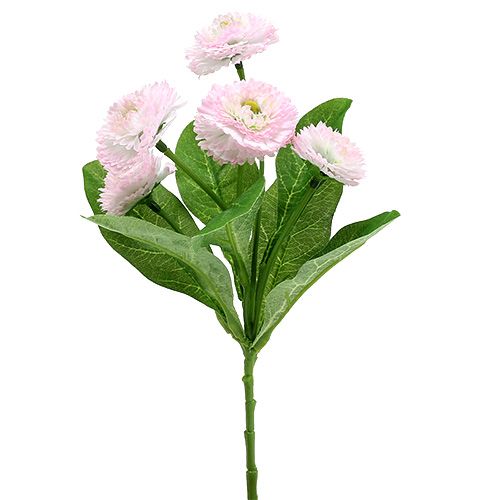 Floristik24 Piquet de pâquerettes rose L 24 cm