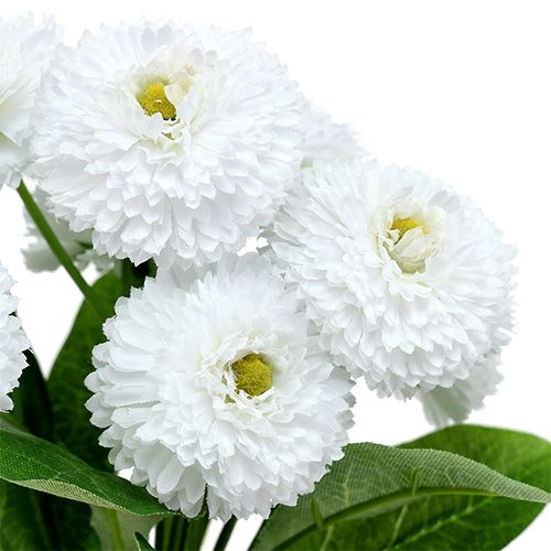 Article Bouquet Bellis blanc 24cm 3pcs