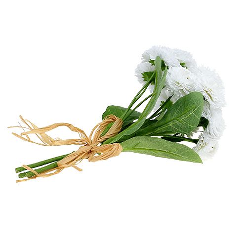 Floristik24 Bouquet Bellis blanc 24cm 3pcs