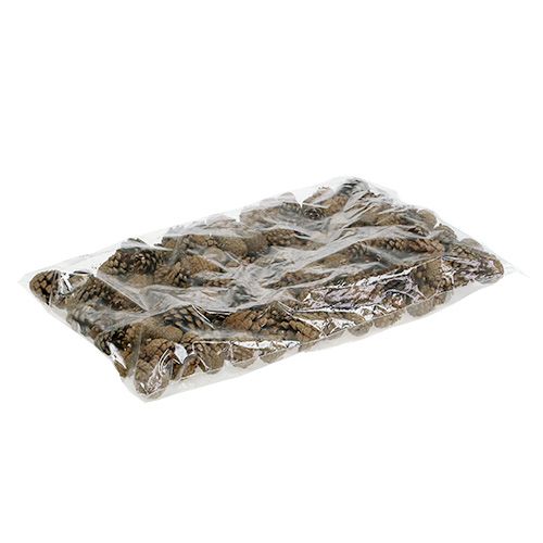 Floristik24 Pommes de pin des montagnes Pommes de pin 2kg
