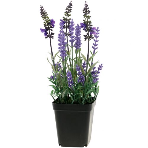 Floristik24 Lavande artificielle en pot H25cm