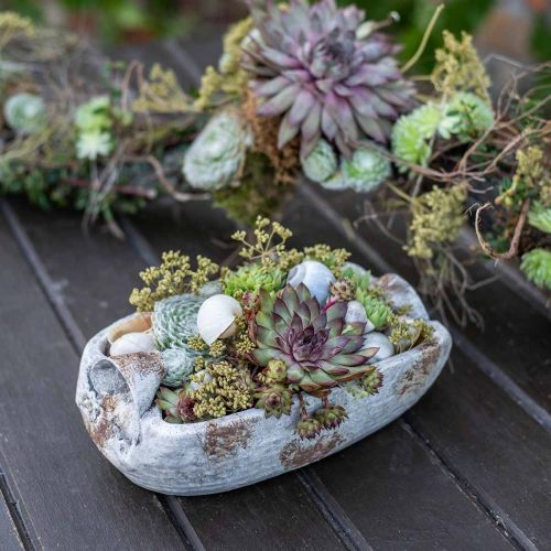 Floristik24 Bol en béton ovale blanc gris marron avec anses antique L25cm