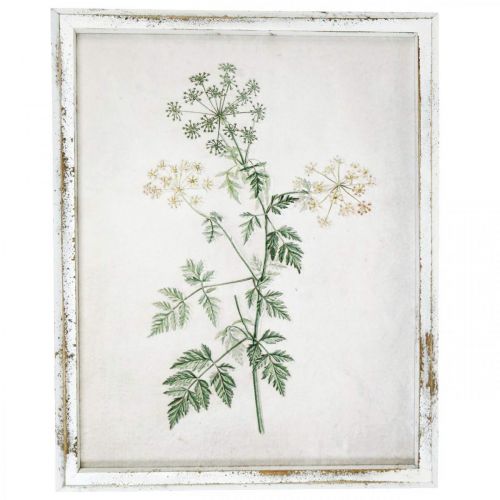 Décoration murale vintage, tableau avec cadre bois plante séchée 40×50cm