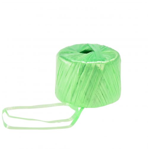 Article Ficelle raphia artificiel vert clair Ficelle jardinier 5mm 400m