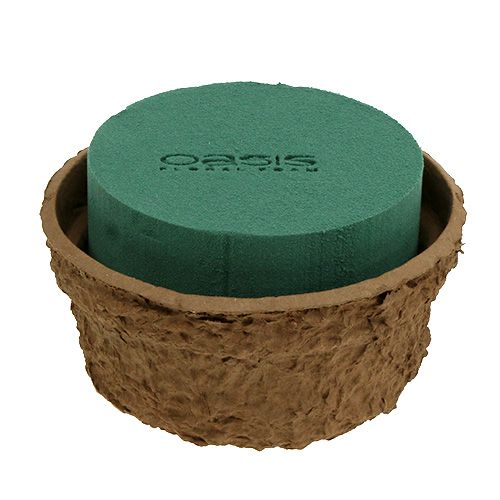 Floristik24 Mousse florale humide avec bol pour fleurs H10cm Ø16cm 2 pcs