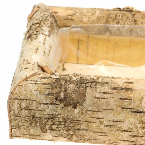 Floristik24 Jardinière Bouleau 40cm x 20cm H8,5cm