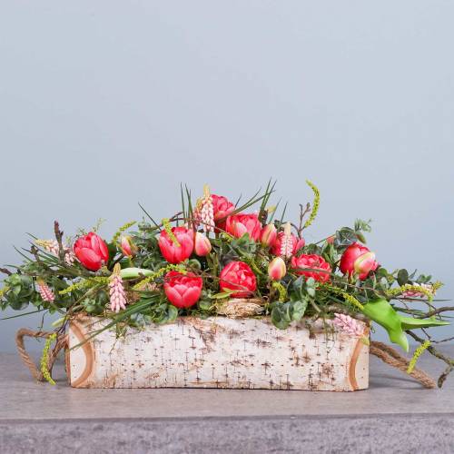 Floristik24 Jardinière bouleau anses corde 38x16cm H9cm