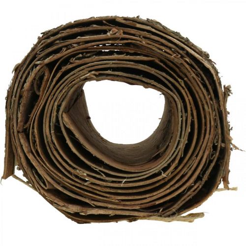 Floristik24 Rouleau d&#39;écorce de bouleau marron, écorce grise pour l&#39;artisanat 15×300cm