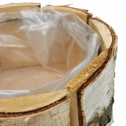 Floristik24 Cache-pot bouleau bouleau naturel cache-pot rond en bois Ø13cm