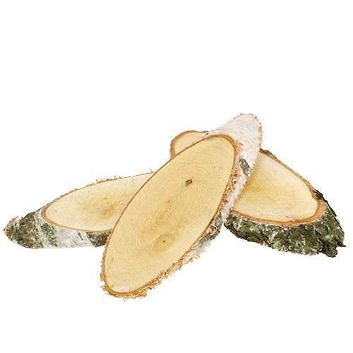 Floristik24 Disques de bouleau ovales en bois naturel décoration 18-22cm 10 pcs