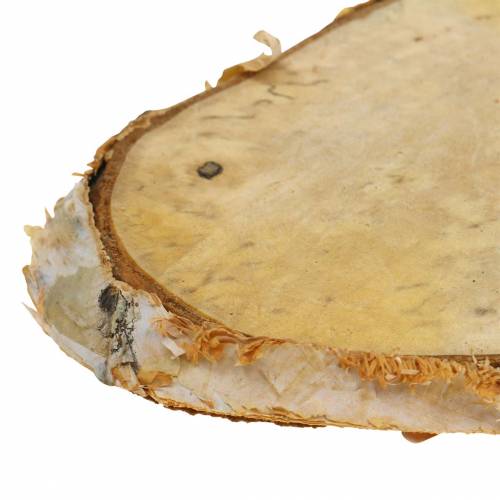 Floristik24 Disques en bois bouleau ovale naturel 7,5 × 13cm 1kg