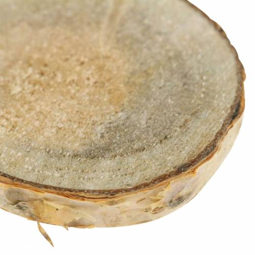 Article Tranches de bouleau rond naturel 5cm 1kg pour décoration avec écorce
