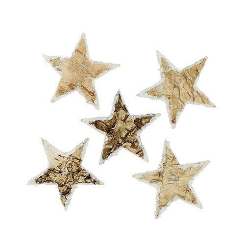 Floristik24 Étoiles de bouleau recouvertes de neige 4cm naturel 60 pcs