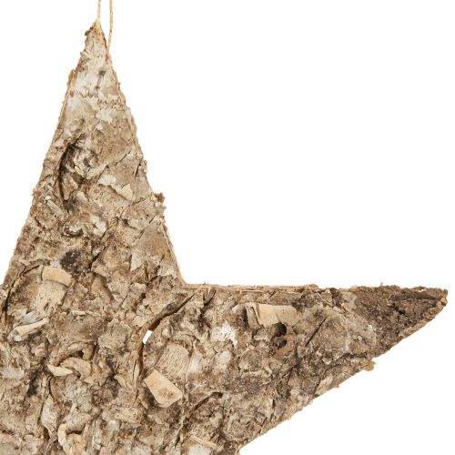 Article Étoiles de bouleau à suspendre étoiles de décoration écorce de bouleau 20cm 4 pièces