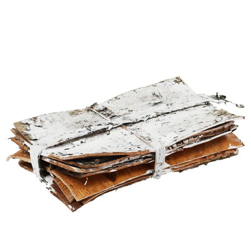 Floristik24 Tranches d'écorce 20 cm x 12 cm blanches, lavées 8 pièces