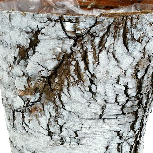 Article Pot bouleau petite jardinière bouleau blanc Ø10cm H8,5cm 6 pcs