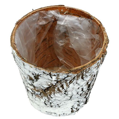 Article Pot bouleau petite jardinière bouleau blanc Ø10cm H8,5cm 6 pcs