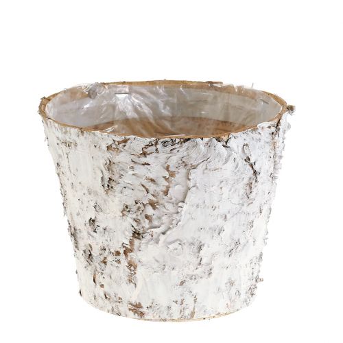Article Pot avec écorce de bouleau blanchie cache-pot Ø15cm H12,5cm 3pcs
