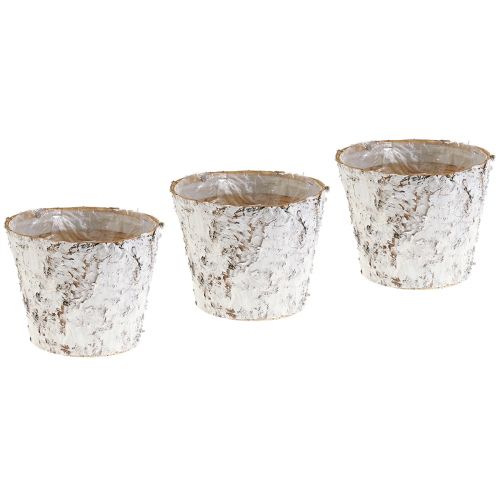 Floristik24 Pot avec écorce de bouleau blanchie cache-pot Ø15cm H12,5cm 3pcs