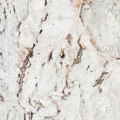 Article Pot de fleurs imitation écorce, idéal pour une décoration intérieure rustique et la mise en valeur des plantes, 12 cm, lot de 4