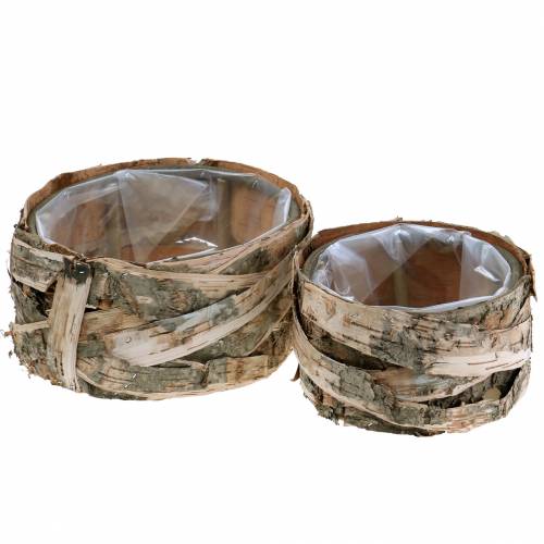 Jardinière en pot de bouleau rond Ø17 / 23cm 2pcs