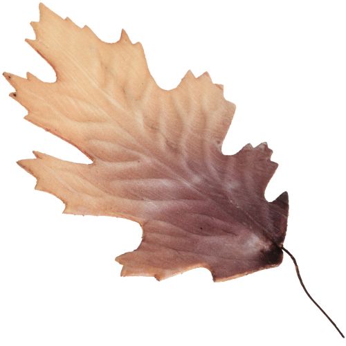 Feuille de chêne rouge feuilles d&#39;automne déco feuilles déco 13×19cm 12pcs