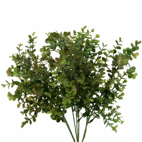 Floristik24 Branche décorative en buis vert 40cm