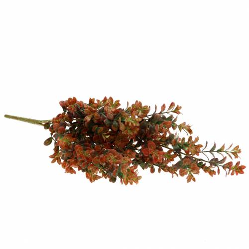 Floristik24 Branche déco buis automnale 50cm