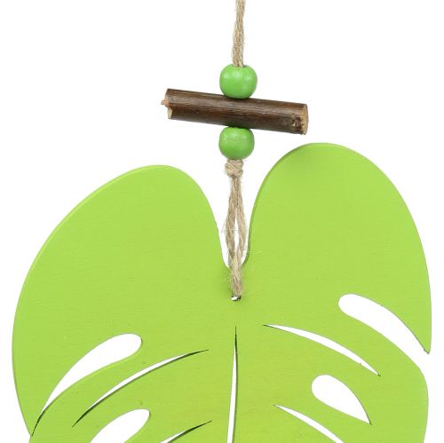 Floristik24 Feuille de décoration de fenêtre à suspendre vert clair 14,5cm