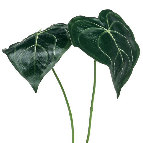 Floristik24 Feuille de caladium 32cm 2pcs