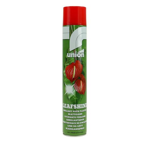 Floristik24 Spray brillant aux feuilles 400ml